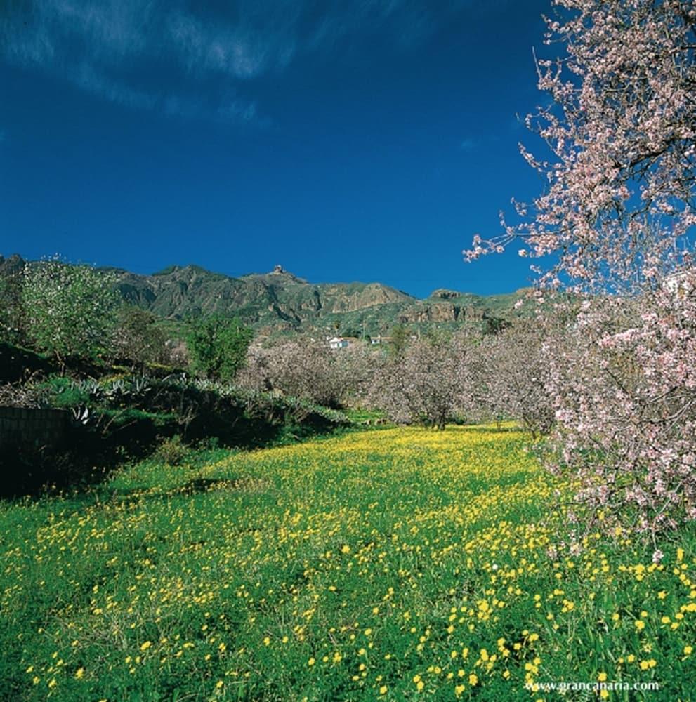 فندق Cortijo San Ignacio El Cortijo  المظهر الخارجي الصورة