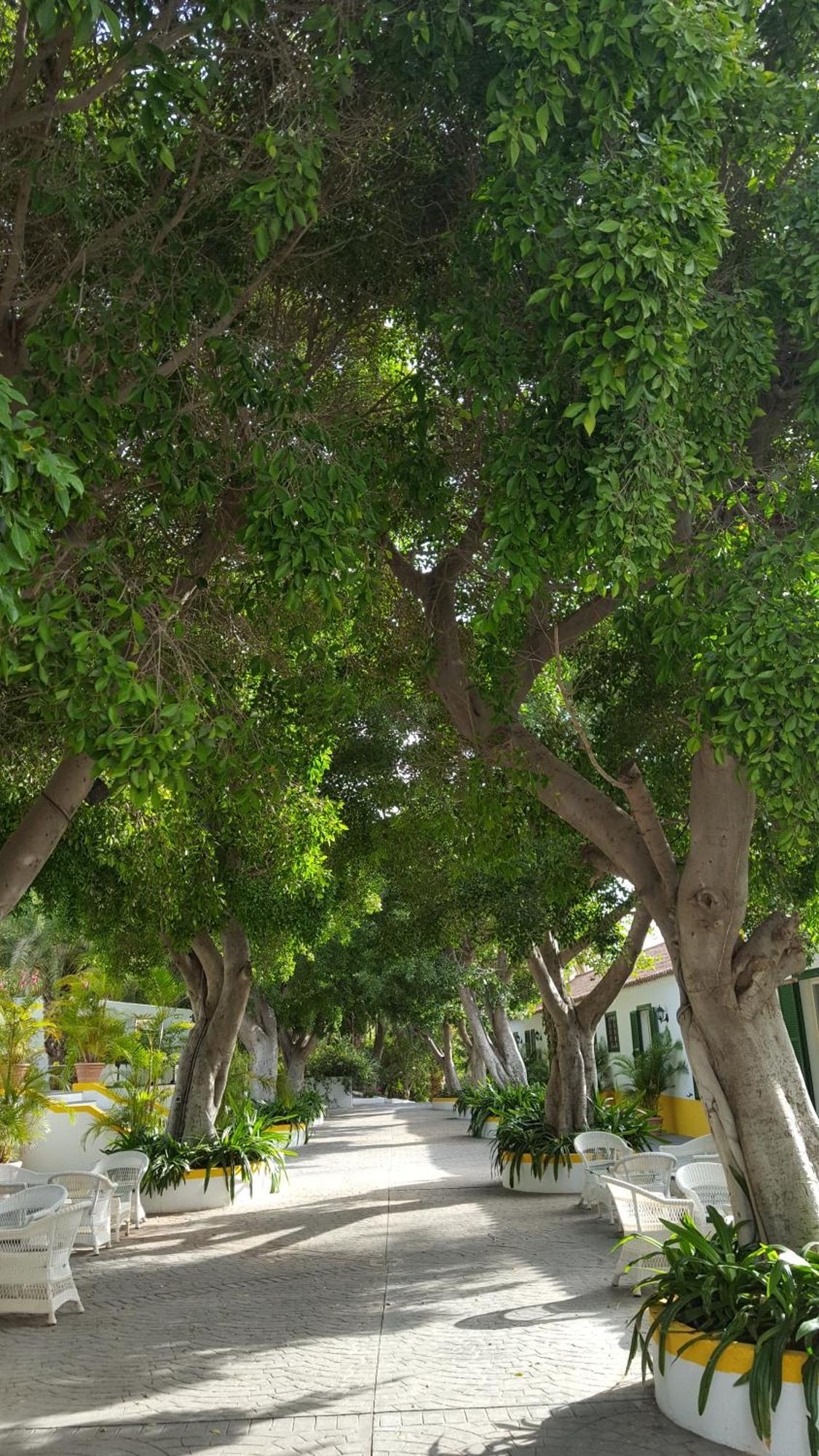 فندق Cortijo San Ignacio El Cortijo  المظهر الخارجي الصورة